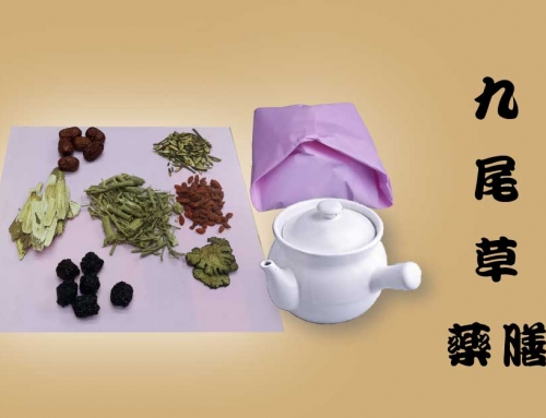 九尾草 藥膳