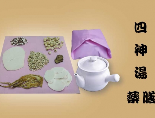 四神湯 藥膳