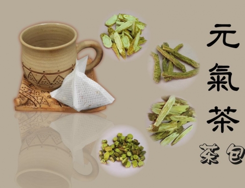 元氣茶 茶包