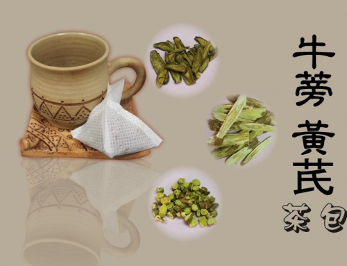 牛蒡 黃芪 茶包