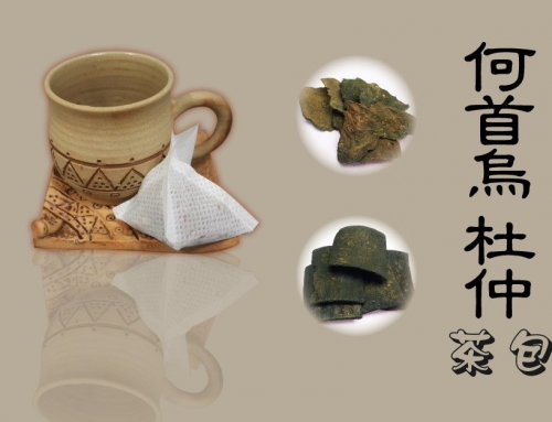何首烏 杜仲 茶包